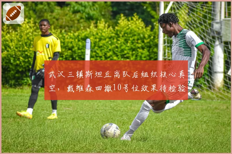 武汉三镇斯坦丘离队后组织核心真空，戴维森回撤10号位效果待检验