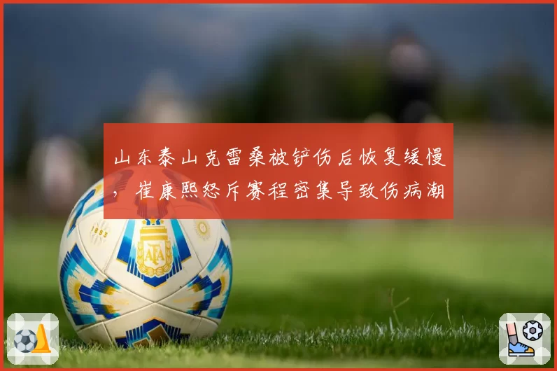 山东泰山克雷桑被铲伤后恢复缓慢,崔康熙怒斥赛程密集导致伤病潮